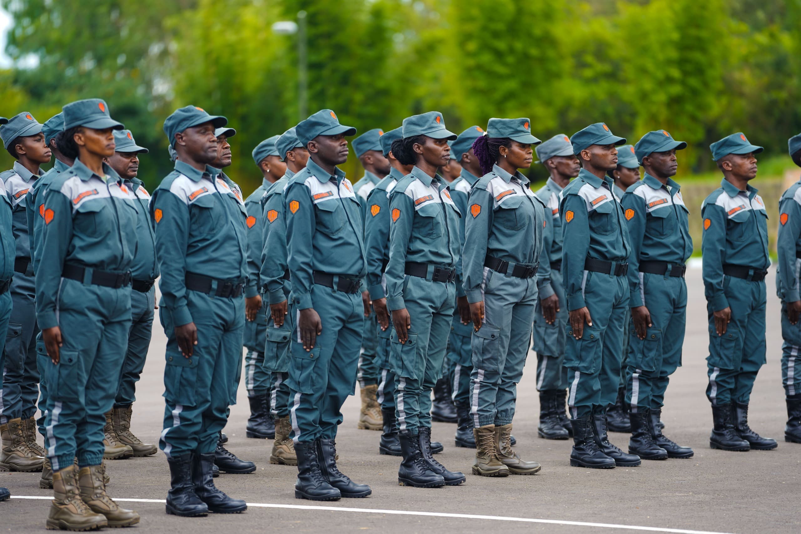 Security professional background